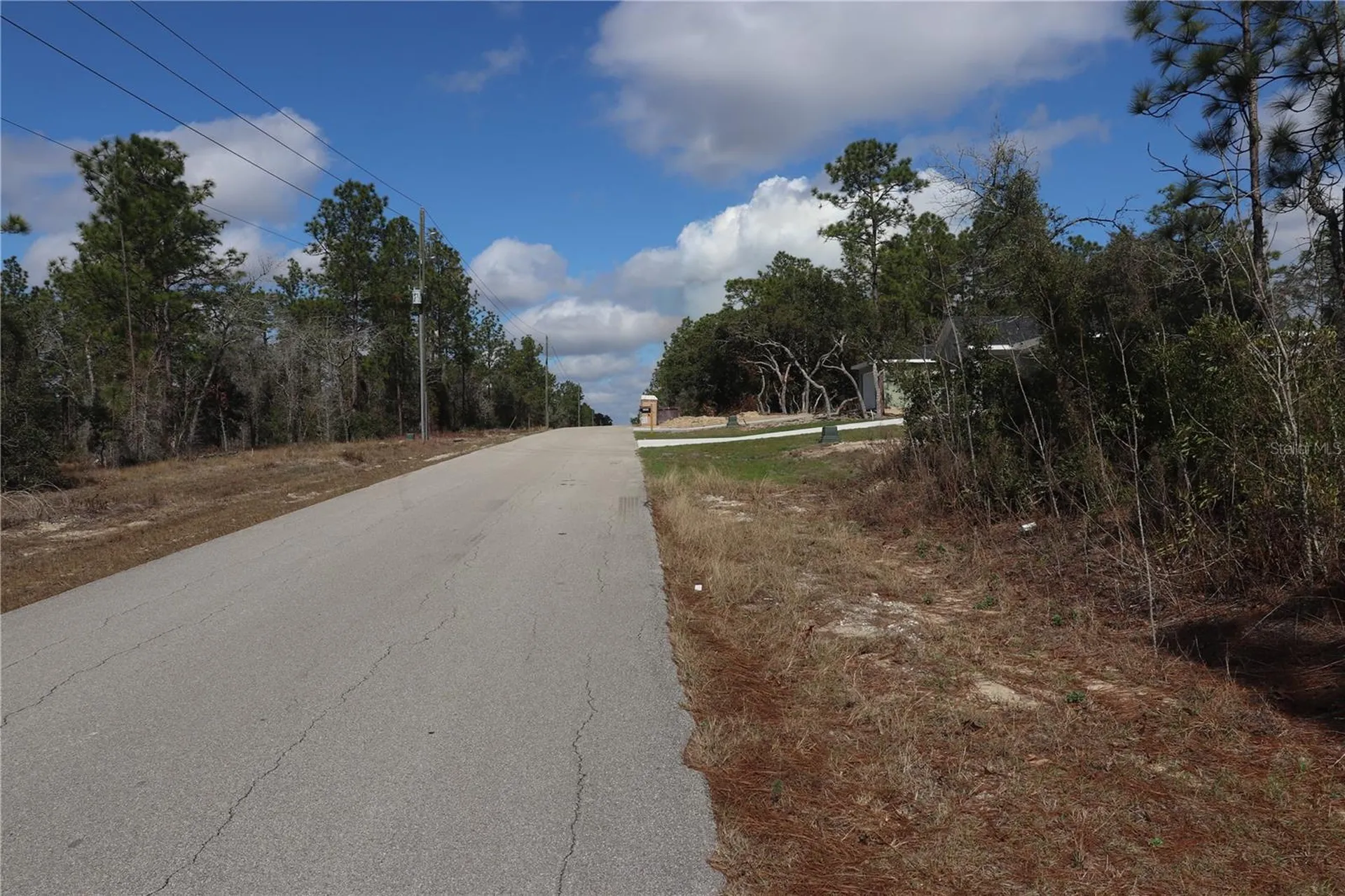 2251 NW Buena Vista Road Dunnellon FL 34431
