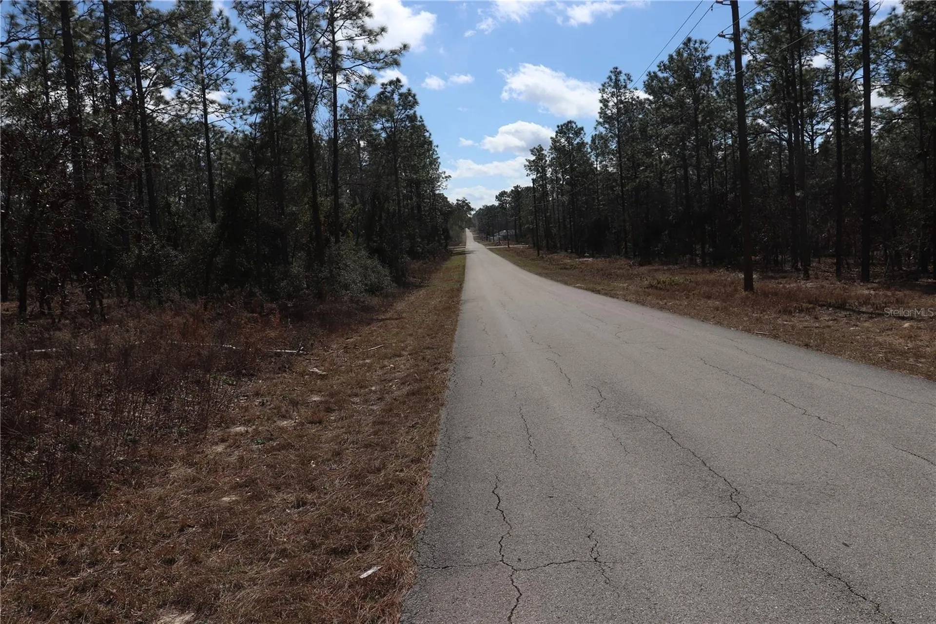 2251 NW Buena Vista Road Dunnellon FL 34431