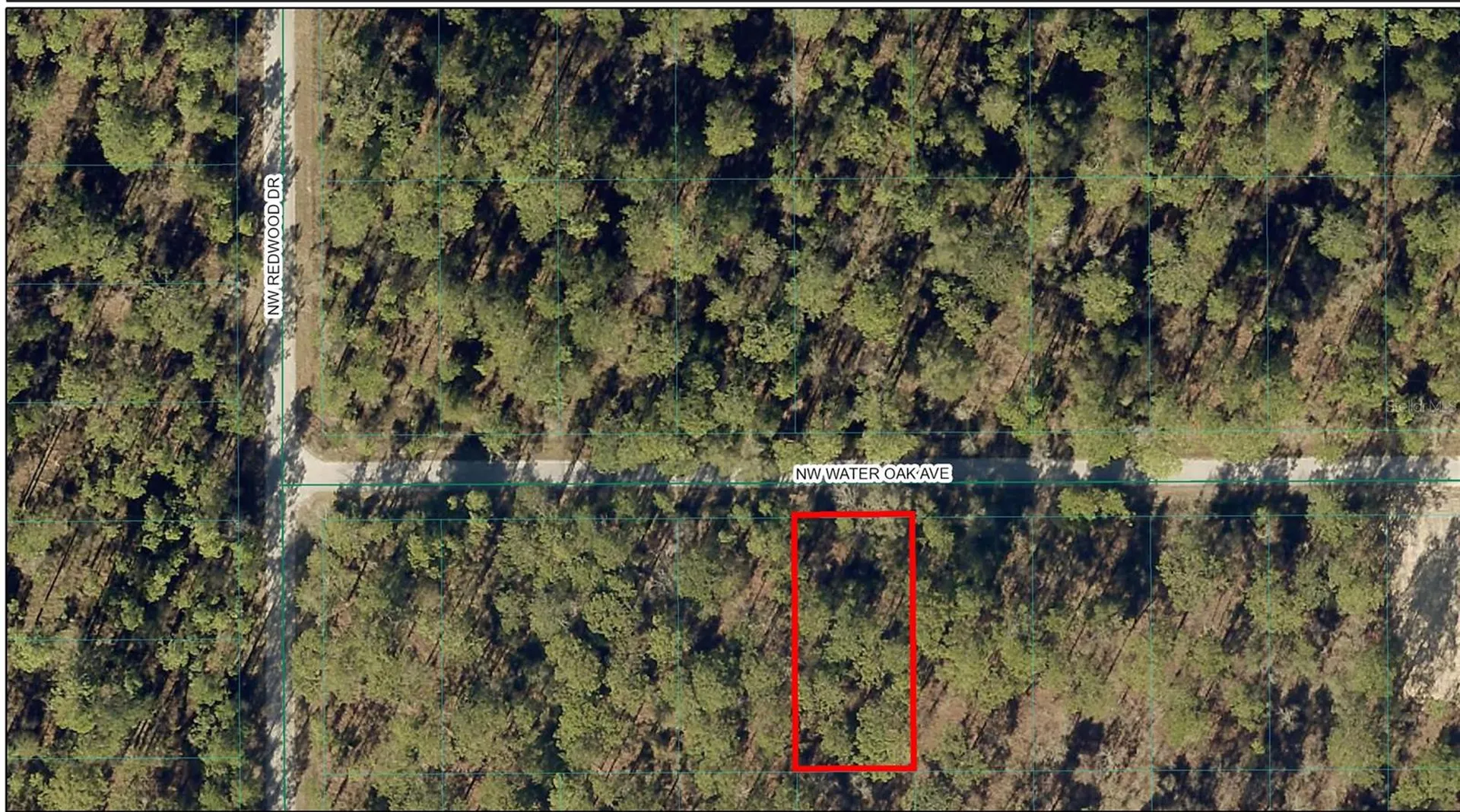 Tbd NW Water Oak Avenue Dunnellon FL 34431