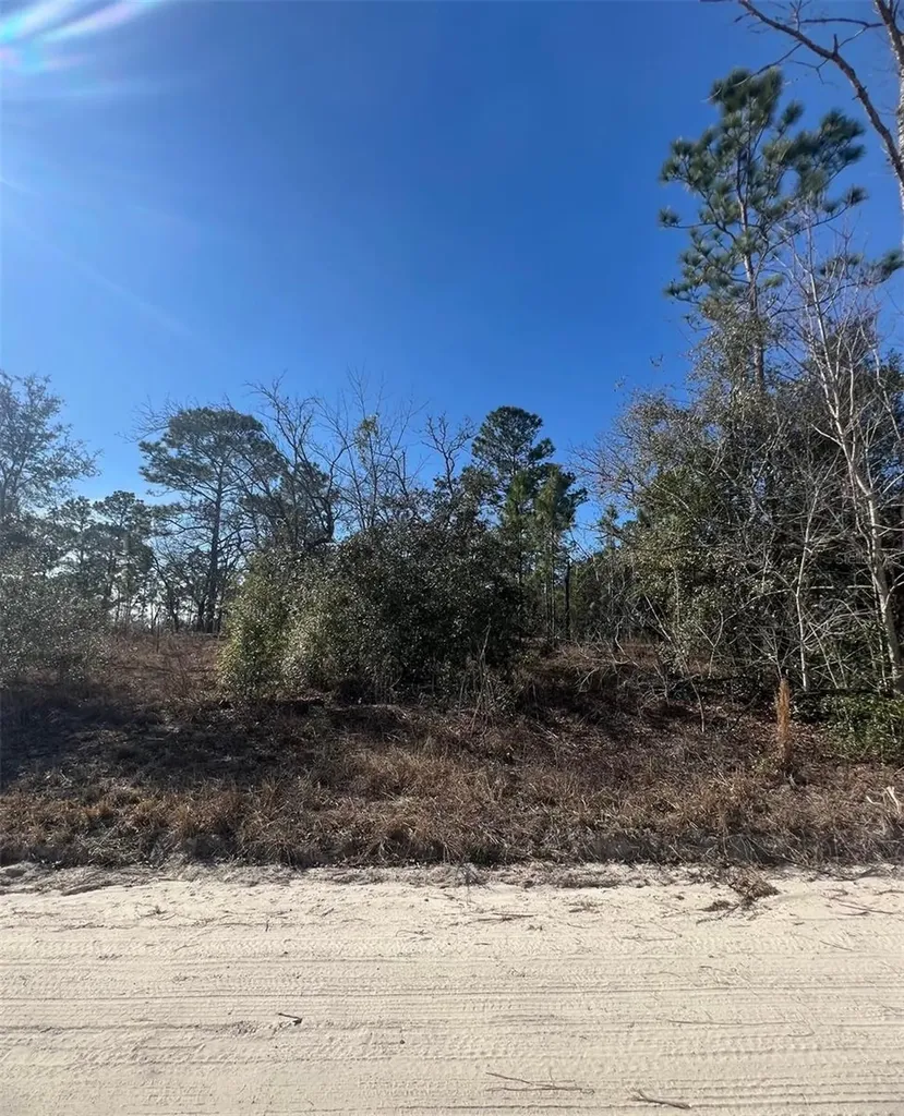 Tbd SE 186 Terrace Morriston FL 32668