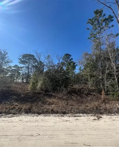 Tbd SE 186 Terrace Morriston FL 32668