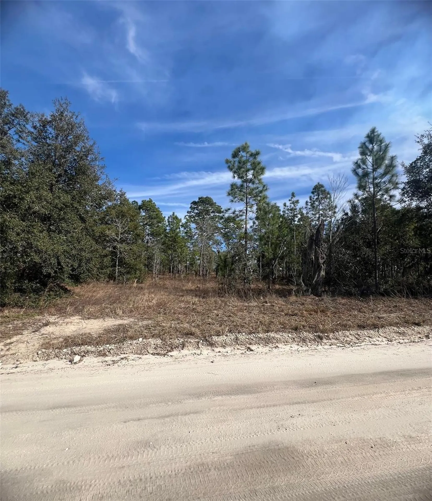 Tbd SE 185 Terrace Morriston FL 32668