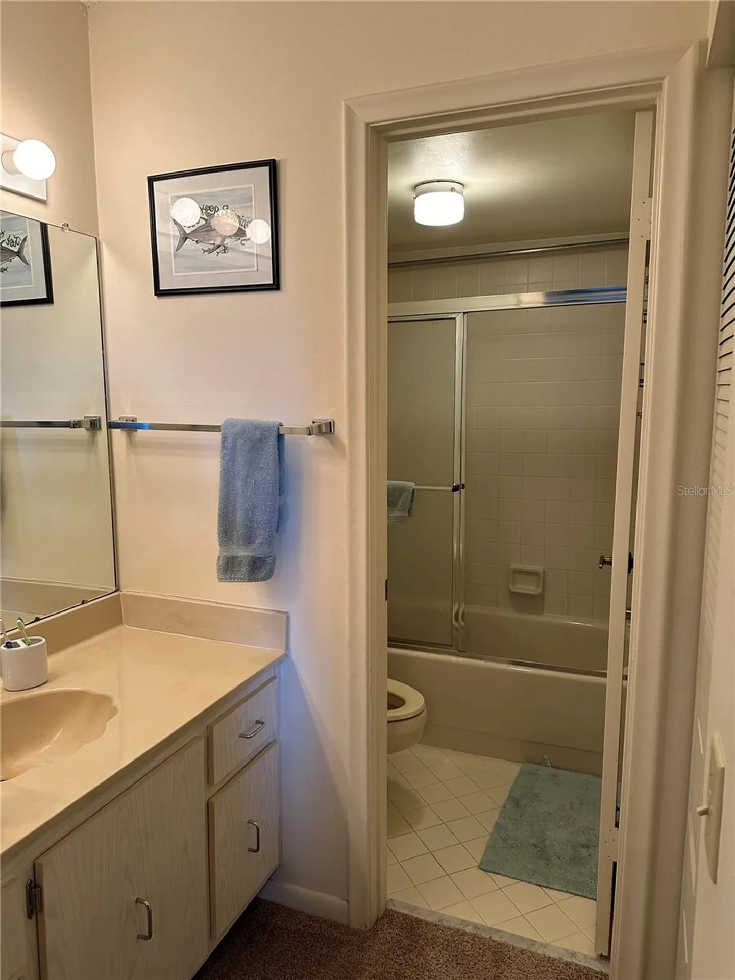 6219 Palma Del Mar Boulevard S St Petersburg FL 33715