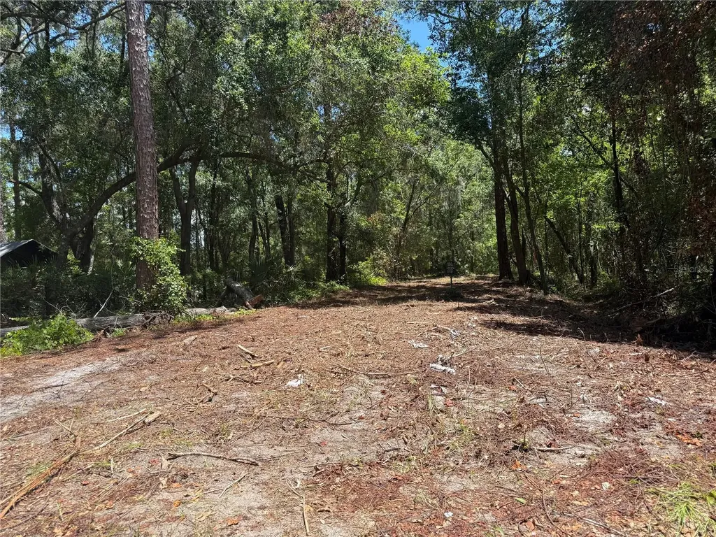 Tbd NE 115 Avenue Fort Mc Coy FL 32134