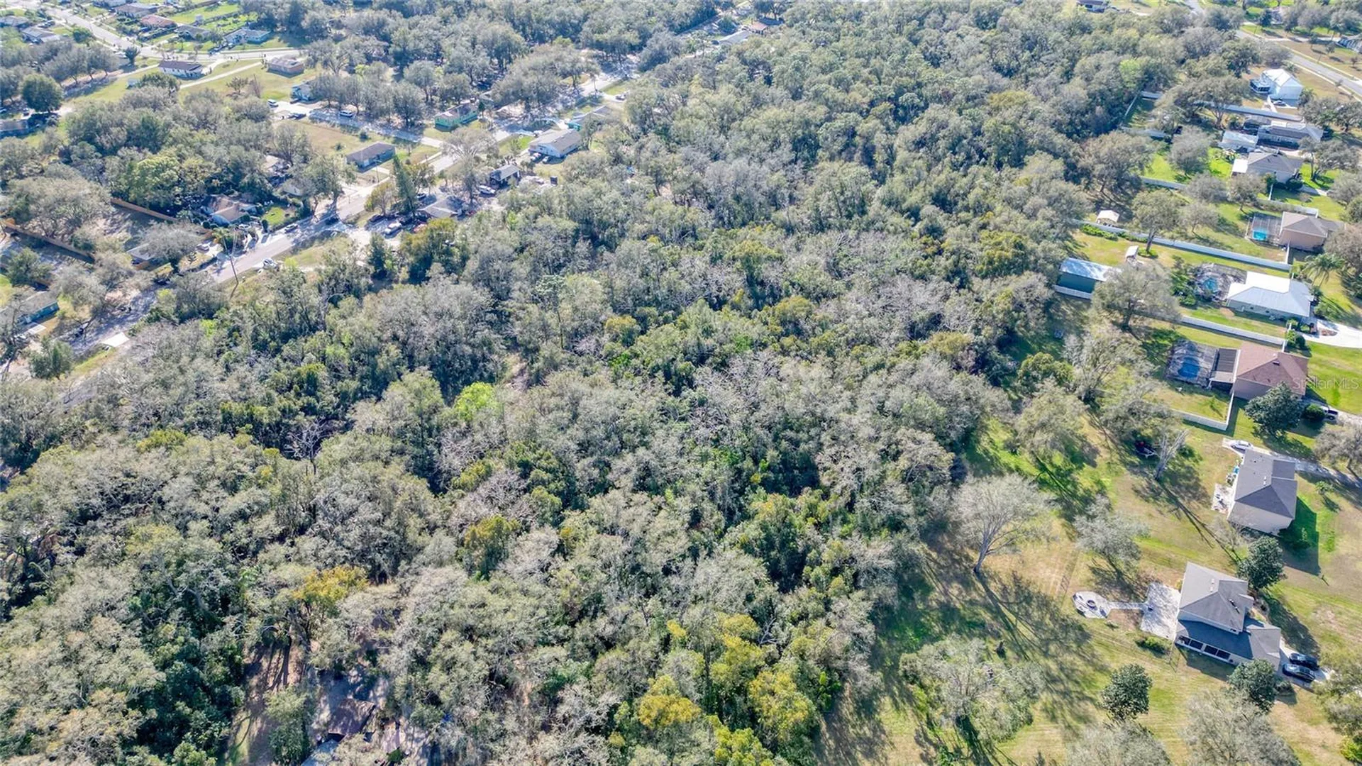 7125 Holly Street Mount Dora FL 32757