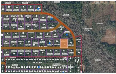 Tbd NE 3rd Avenue Palatka FL 32177