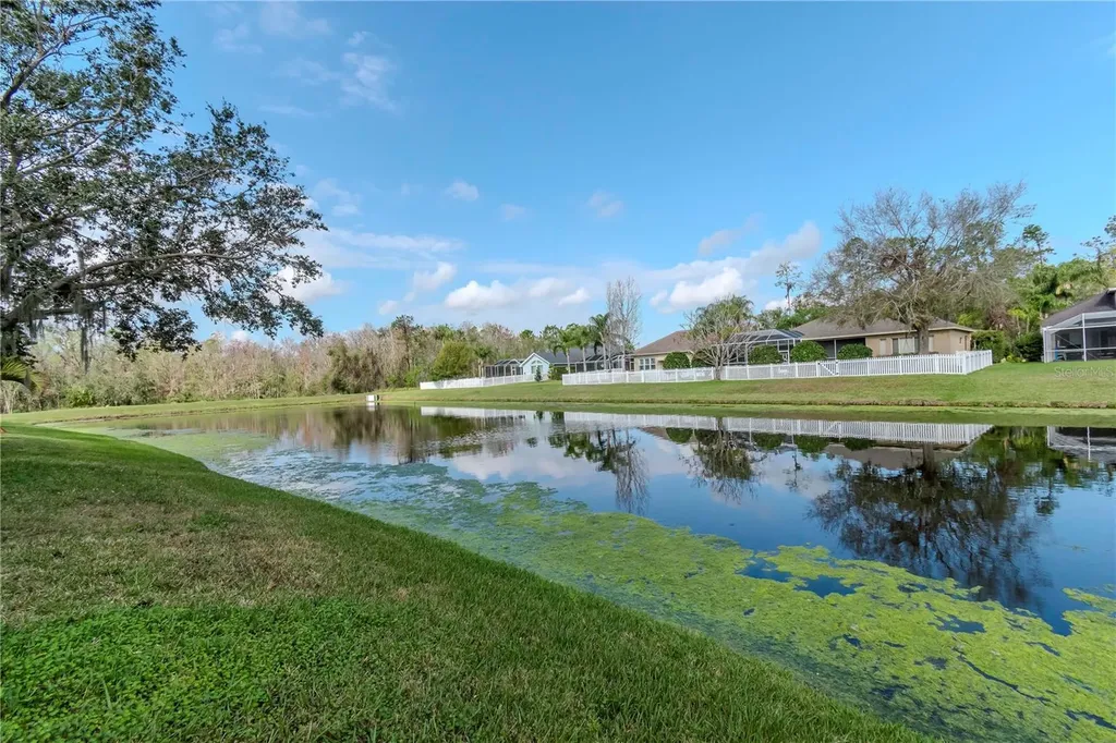 27045 Firebush Drive Wesley Chapel FL 33544