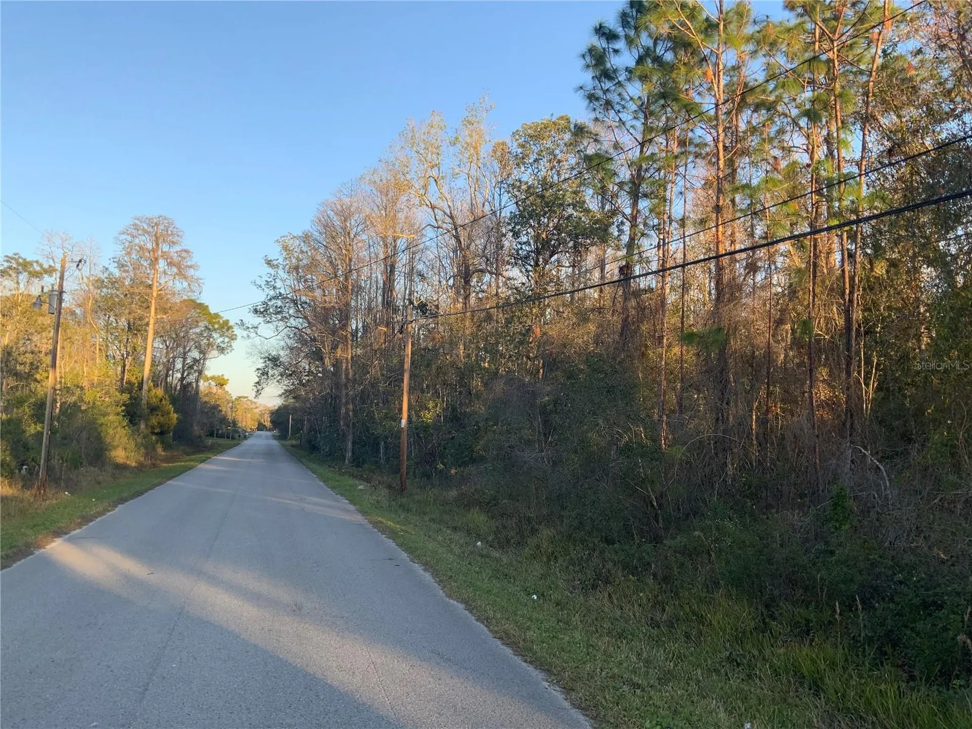 12842 Midvale Avenue New Port Richey FL 34654