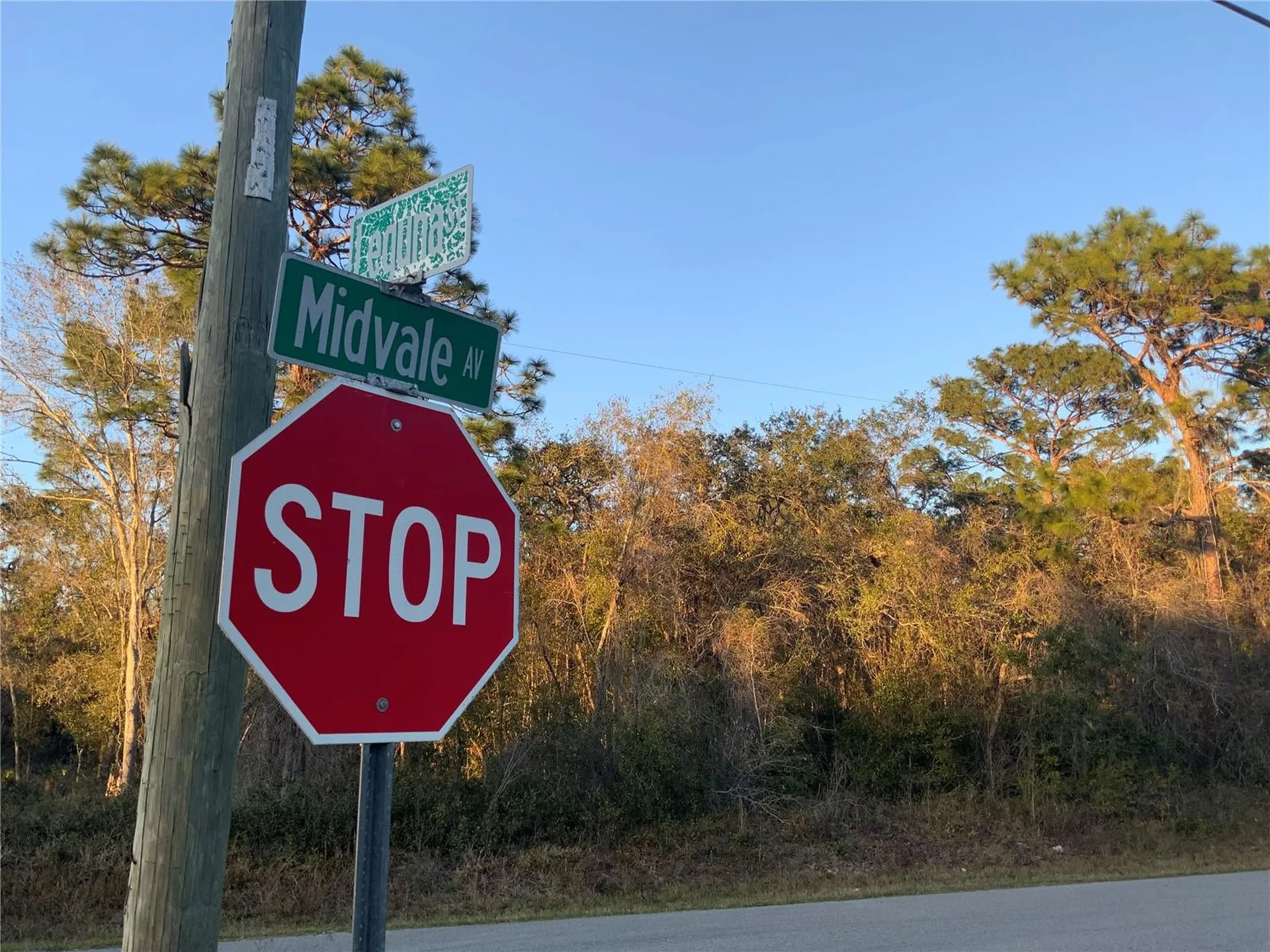 12842 Midvale Avenue New Port Richey FL 34654