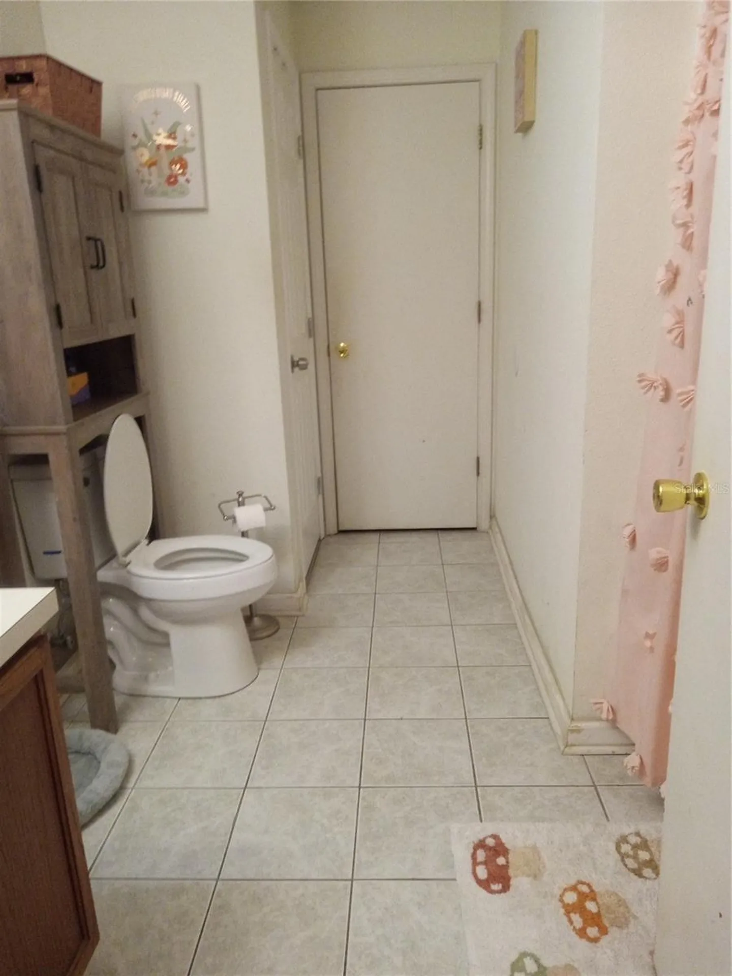 10933 Subtle Trail Drive Riverview FL 33569