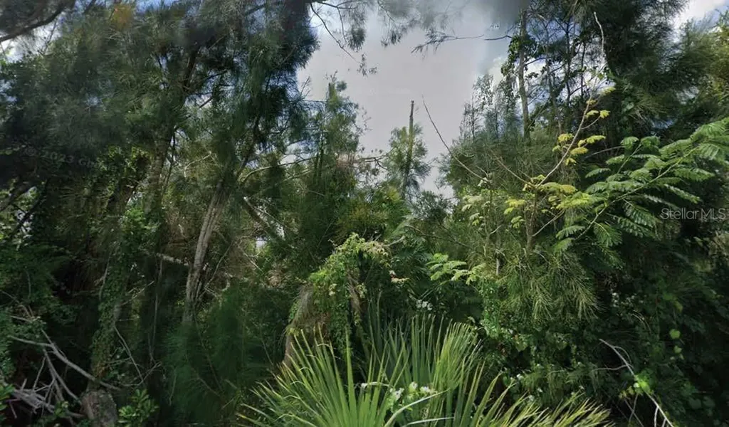 30353 Holly Road Punta Gorda FL 33982