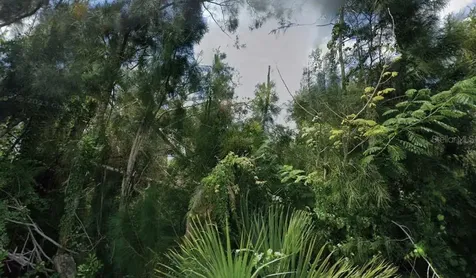30353 Holly Road Punta Gorda FL 33982