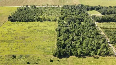 Amberlea Road Dade City FL 33523