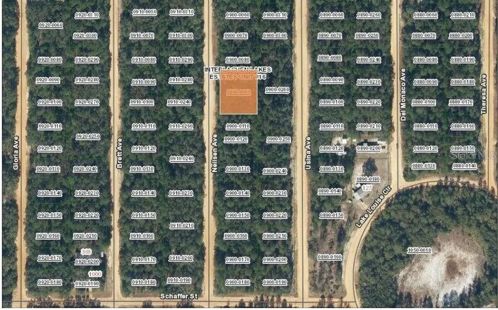 Tbd Neilsen Avenue Interlachen FL 32148