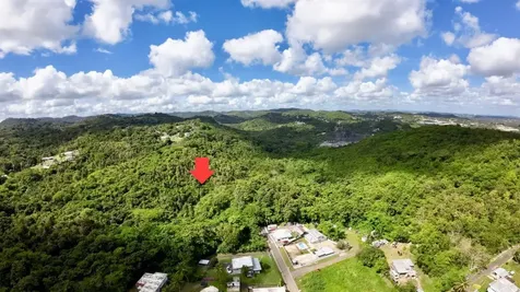 Road 859 Km. 1.5 Bo. Santa Cruz Carolina PR 00987