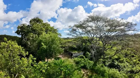 Road 859 Km. 1.5 Bo. Santa Cruz Carolina PR 00987
