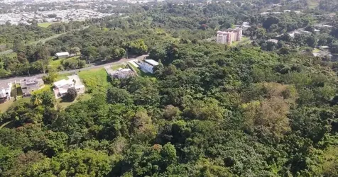 Road 859 Km. 1.5 Bo. Santa Cruz Carolina PR 00987