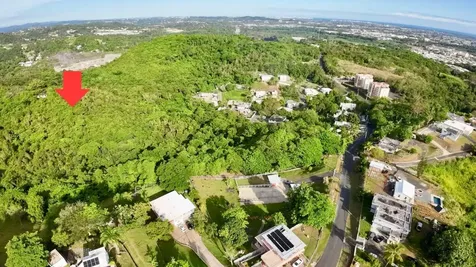 Road 859 Km. 1.5 Bo. Santa Cruz Carolina PR 00987