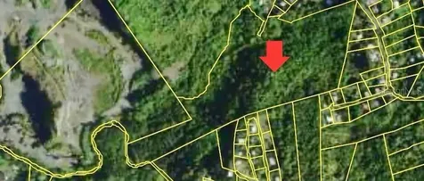 Road 859 Km. 1.5 Bo. Santa Cruz Carolina PR 00987