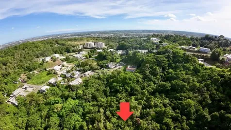 Road 859 Km. 1.5 Bo. Santa Cruz Carolina PR 00987