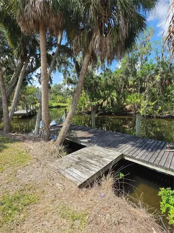 8339 Alafia Pointe Drive Riverview FL 33578
