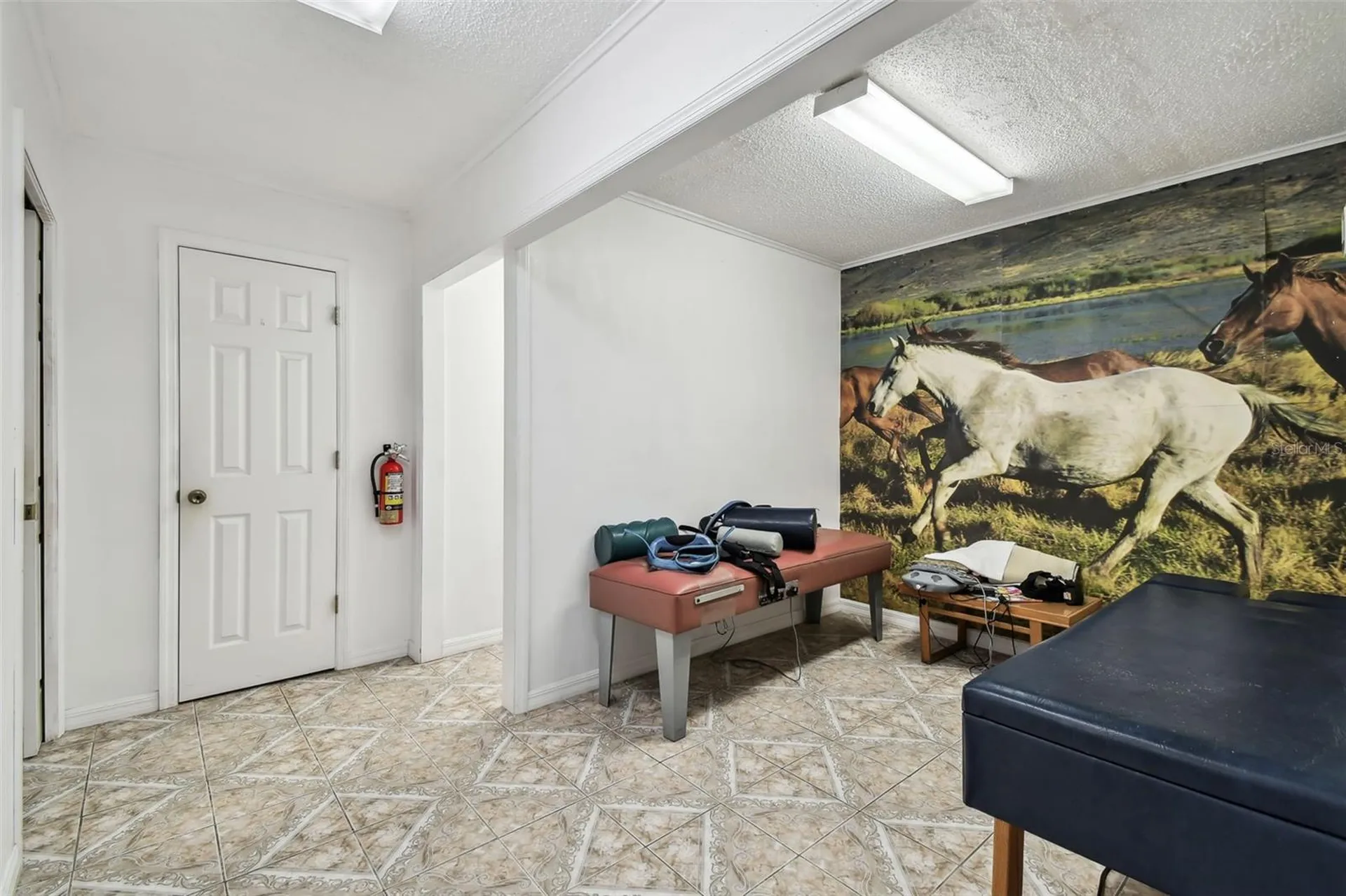 10129 Little Road New Port Richey FL 34654