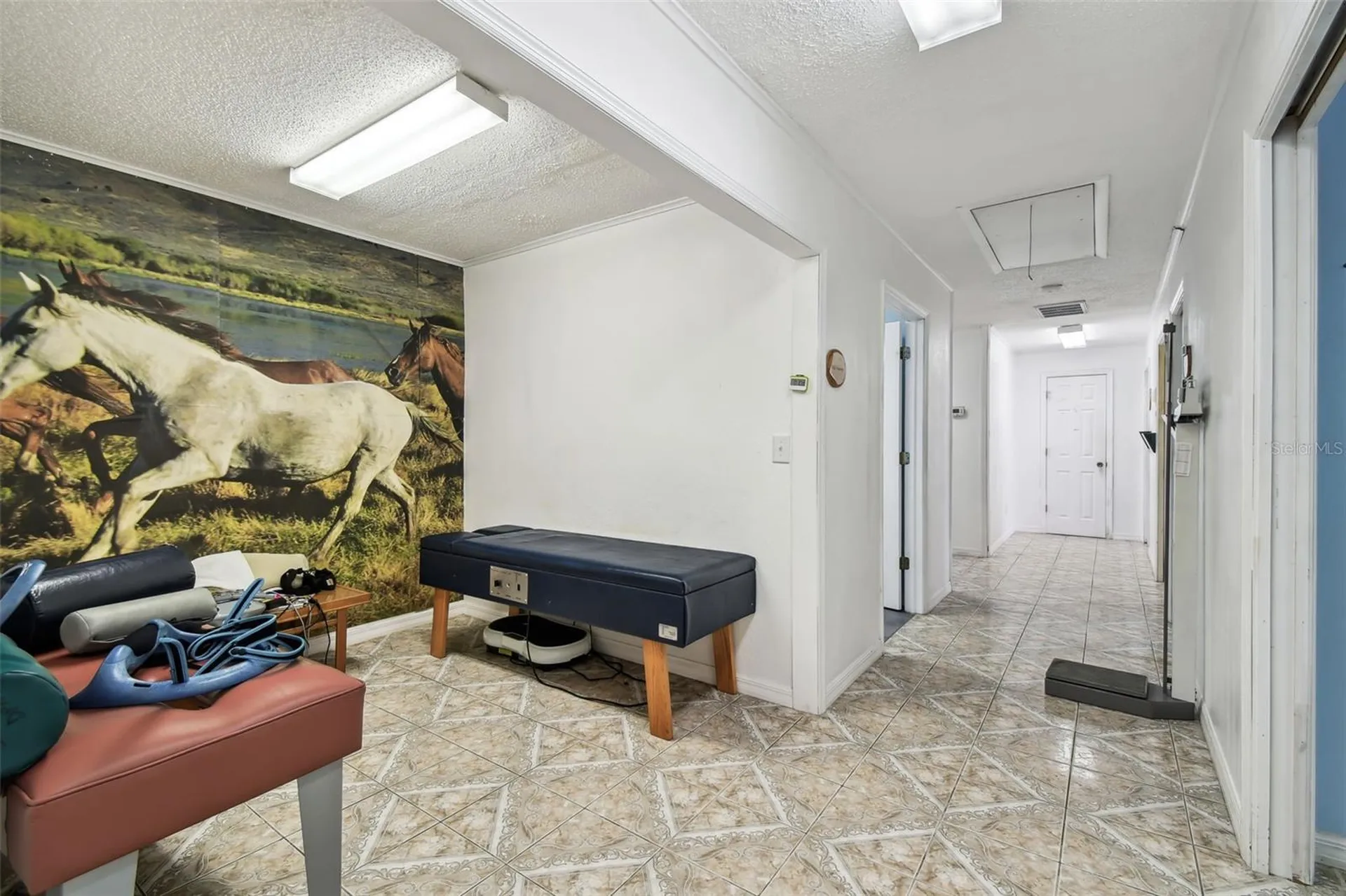 10129 Little Road New Port Richey FL 34654