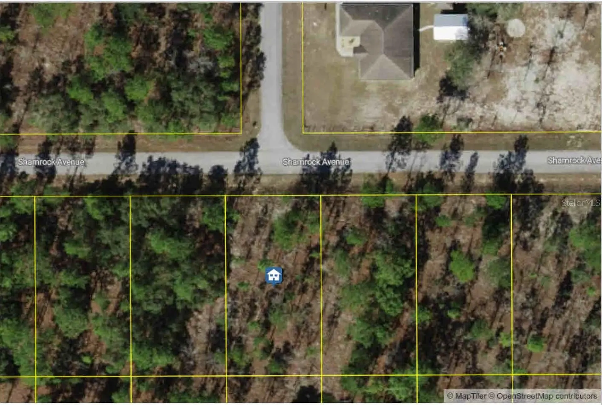 Lot 9 NW Shamrock Avenue Dunnellon FL 34431