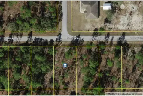 Lot 9 NW Shamrock Avenue Dunnellon FL 34431