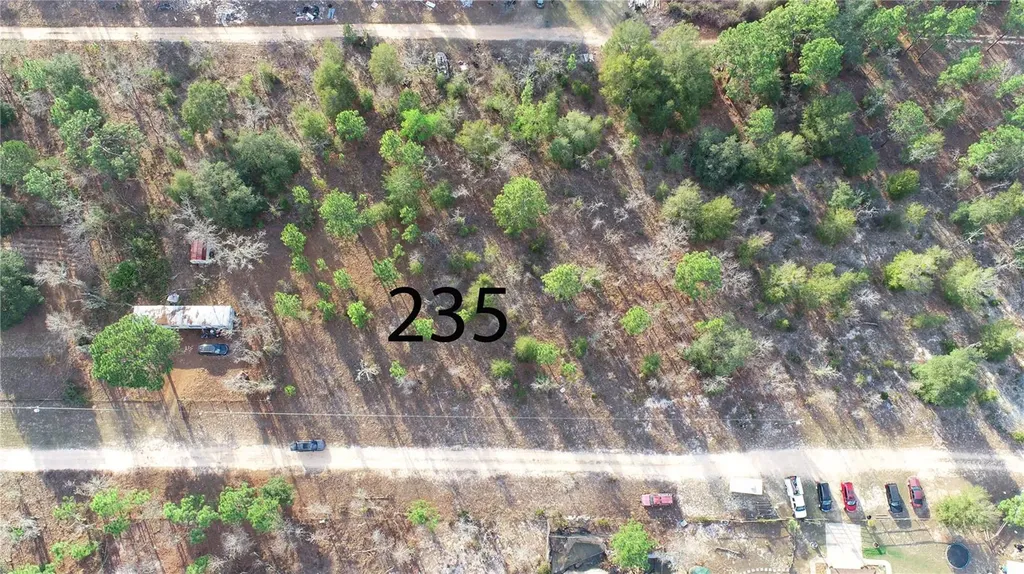 235 Michigan Drive Hawthorne FL 32640