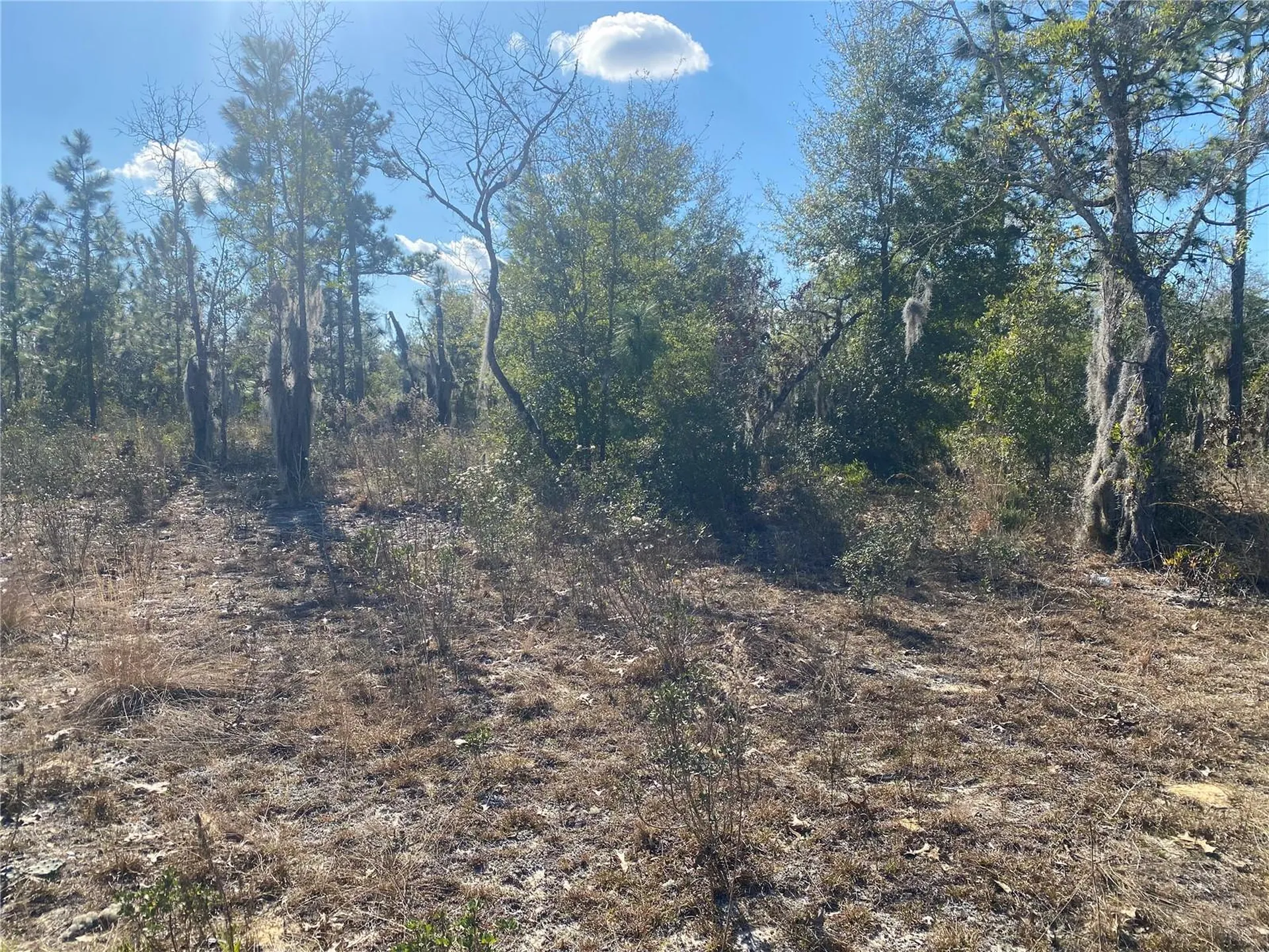 235 Michigan Drive Hawthorne FL 32640