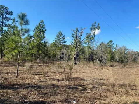 235 Michigan Drive Hawthorne FL 32640