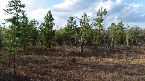 235 Michigan Drive Hawthorne FL 32640