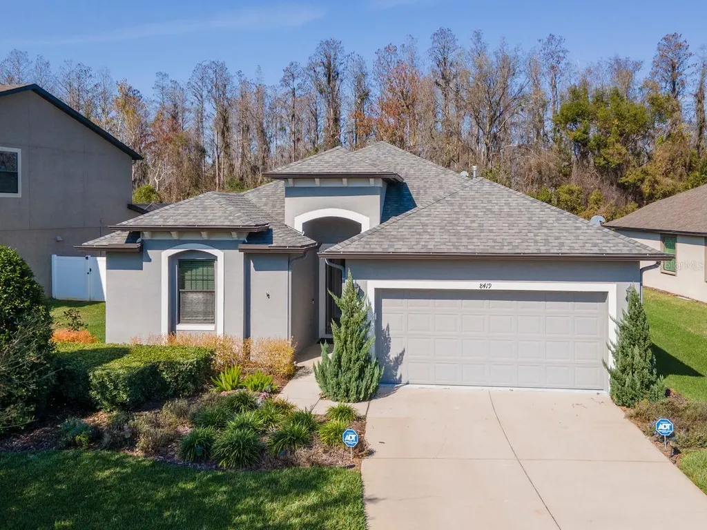 8419 May Port Court Land O Lakes FL 34638