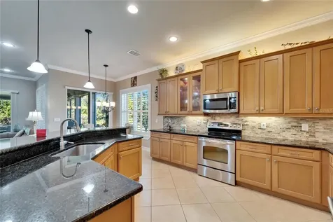 16135 Cape Coral Drive Wimauma FL 33598