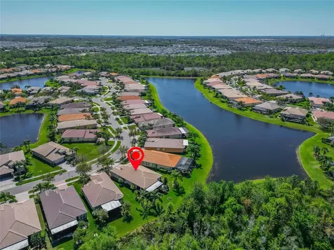 16135 Cape Coral Drive Wimauma FL 33598