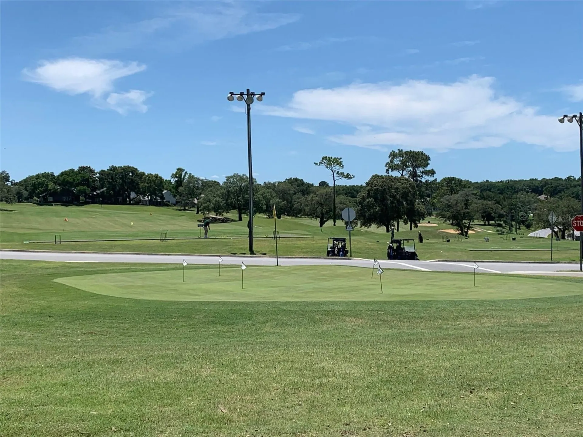 336 W Twisted Oaks Drive Beverly Hills FL 34465