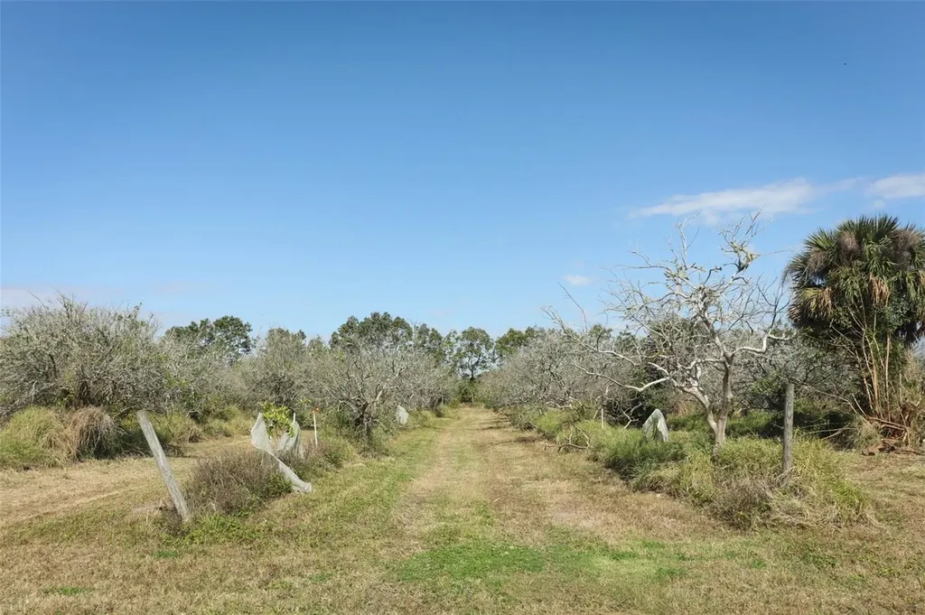 0 Davis Road Mims FL 32754