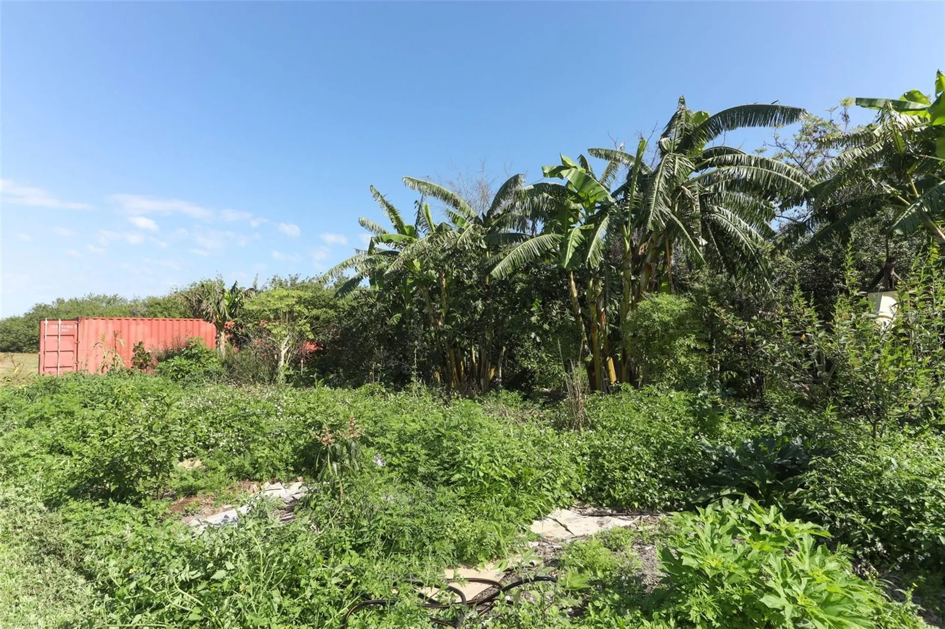 0 Davis Road Mims FL 32754
