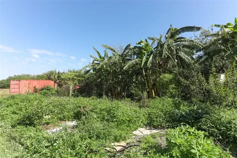 0 Davis Road Mims FL 32754