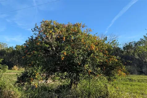0 Davis Road Mims FL 32754