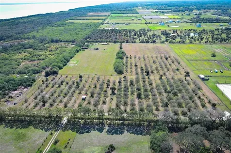0 Davis Road Mims FL 32754