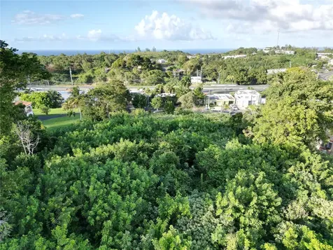 Haciendas De Camuy Lote 9 Camuy PR 00627