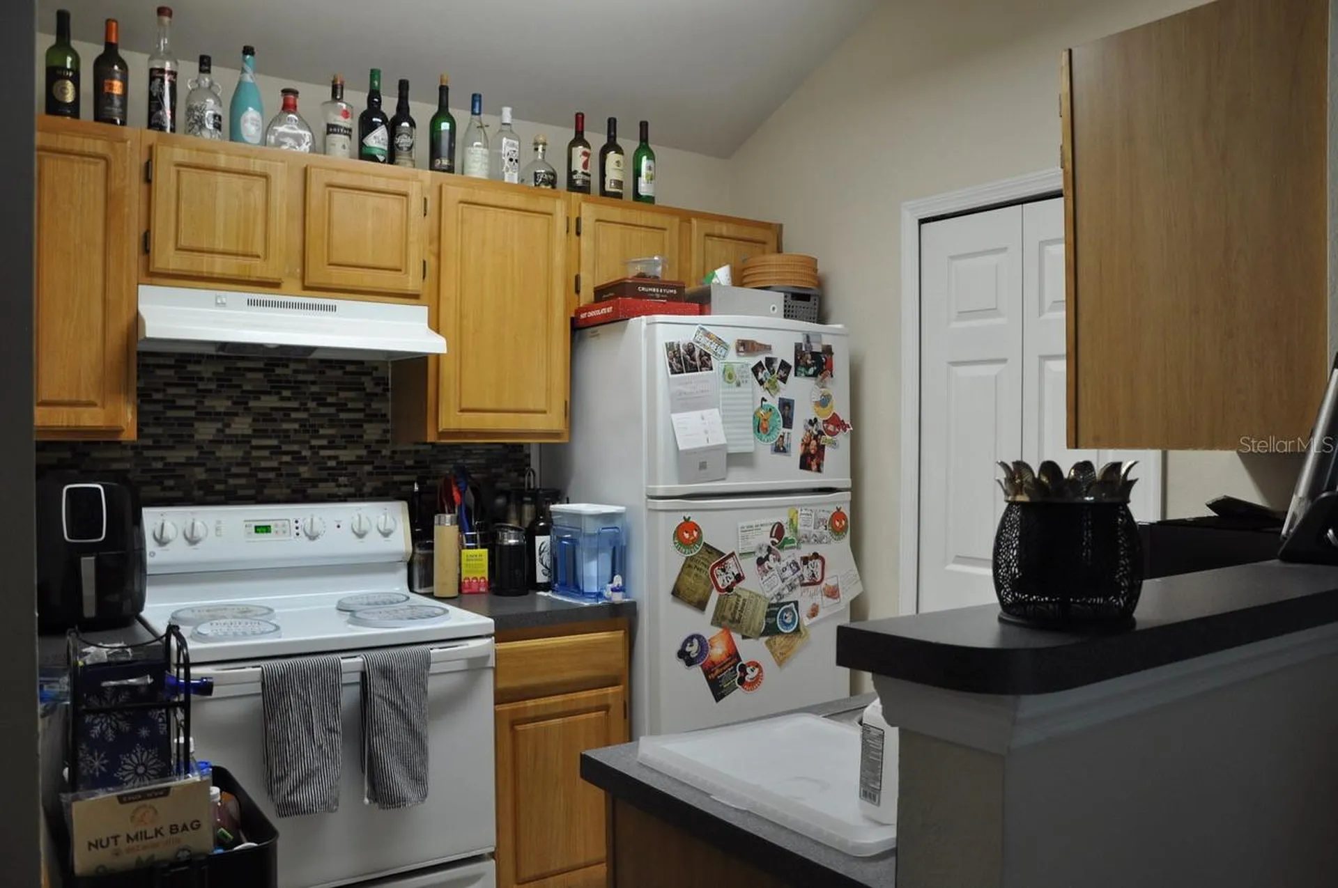 3307 Greenwich Village Boulevard Orlando FL 32835
