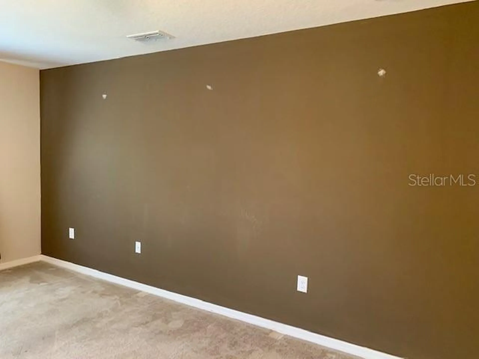 3742 Maidencain Street Clermont FL 34714