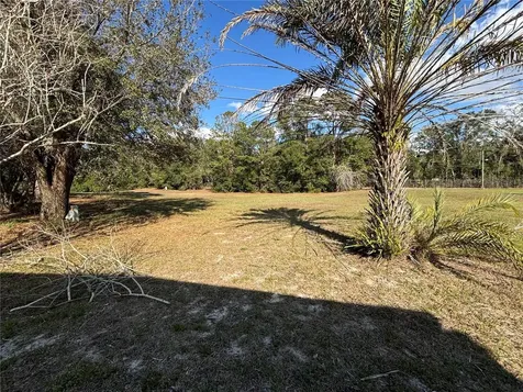 2229 S Citrus Circle Zellwood FL 32798