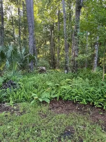 Sanford FL 32773