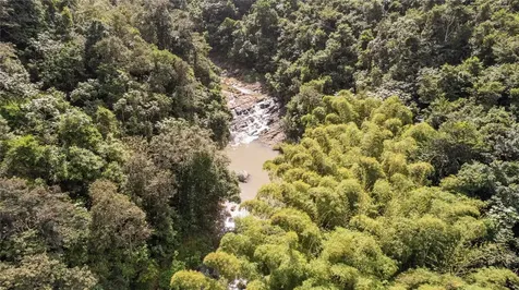 Hacienda Cascada Aguas Buenas PR 00703