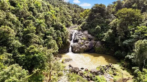 Hacienda Cascada Aguas Buenas PR 00703