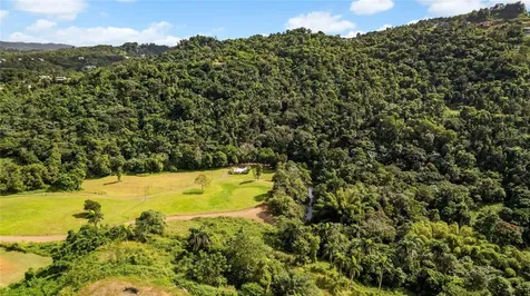 Hacienda Cascada Aguas Buenas PR 00703